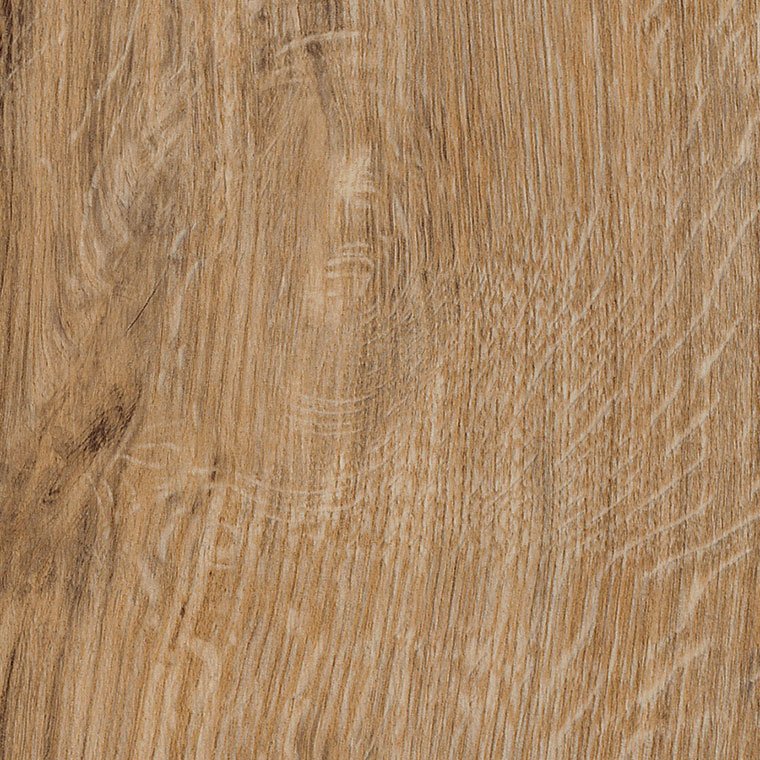featured-oak-ss5w2533.jpeg