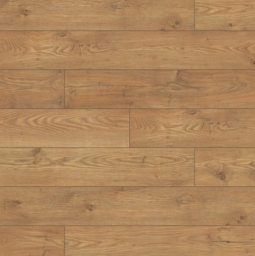 5537-tawny-chestnut.jpg