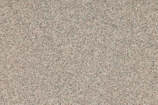 altro-reliance-bone-d25215.jpg