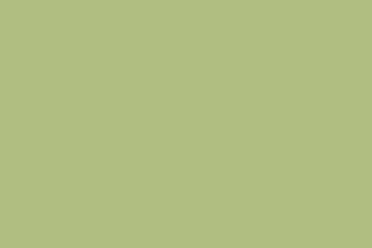 altro-whiterock-chameleon-eau-de-chic-6605.jpg