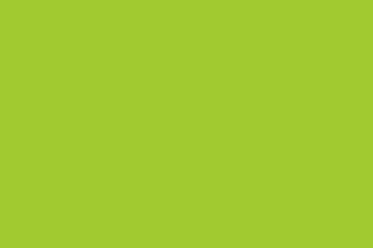 altro-whiterock-chameleon-key-lime-6635.jpg