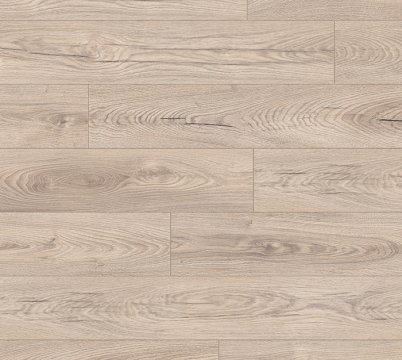 mushroom-carpenter-oak.jpeg