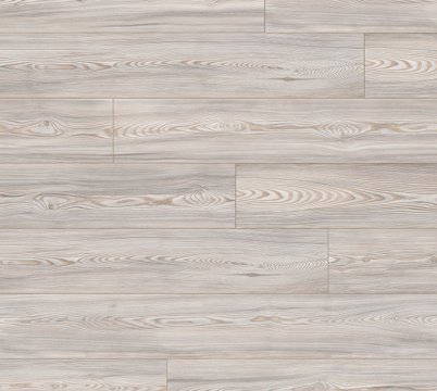 oyster-scandi-larch.jpeg