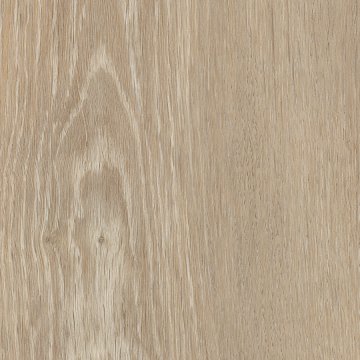 ss5w1190-saunton-oak-swatch-2026-rgb-square.jpg