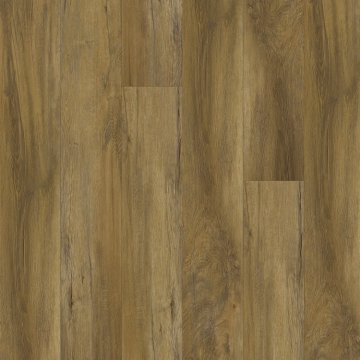 thx-pro-art-18007.jpg