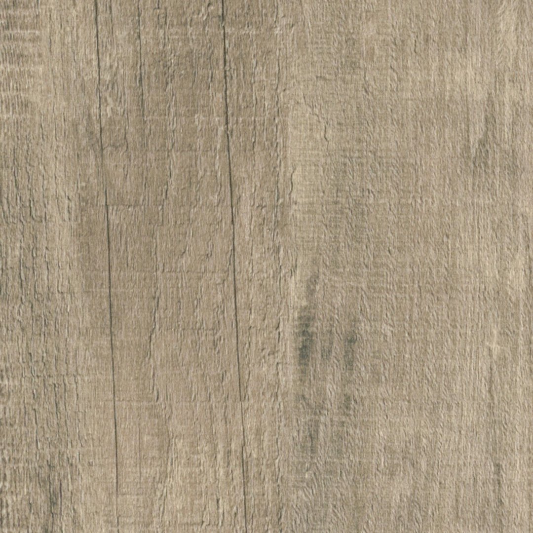 sf3w1024-beached-timber-swatch-2024-rgb-square.jpg