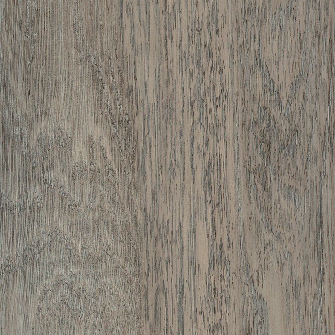 sf3w2777-trent-oak-swatch-2024-rgb-square.jpg