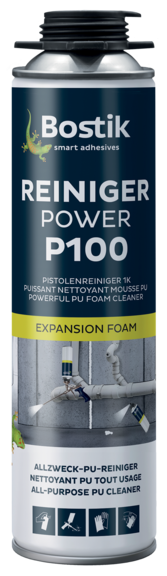 p100-reiniger-power.png
